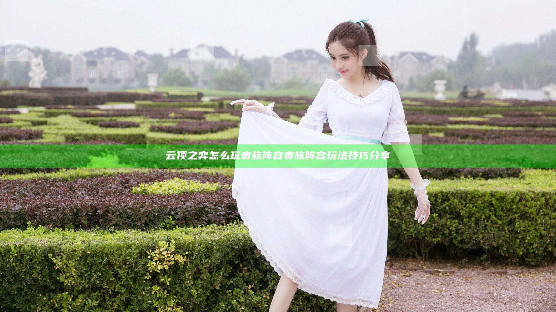 云顶之弈怎么玩贵族阵容 贵族阵容玩法技巧分享