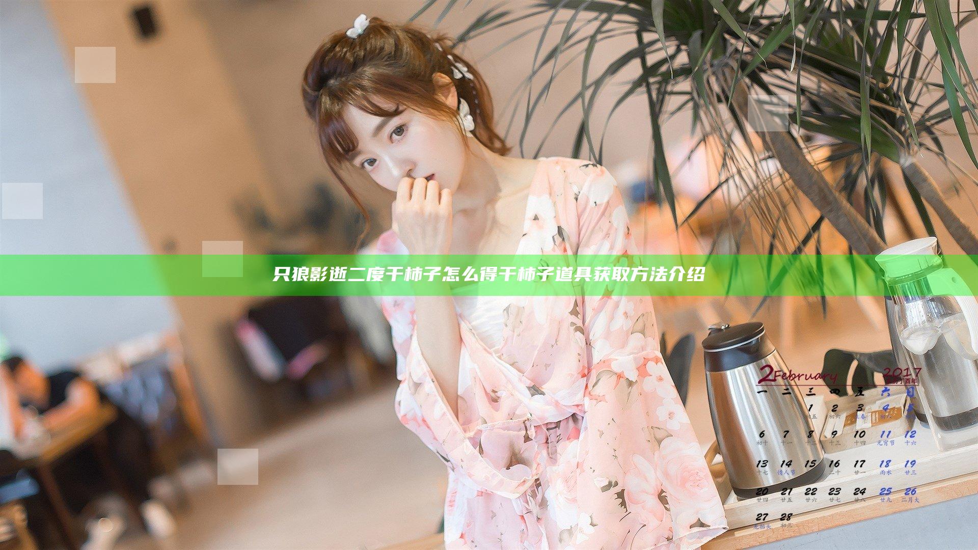 只狼影逝二度干柿子怎么得 干柿子道具获取方法介绍