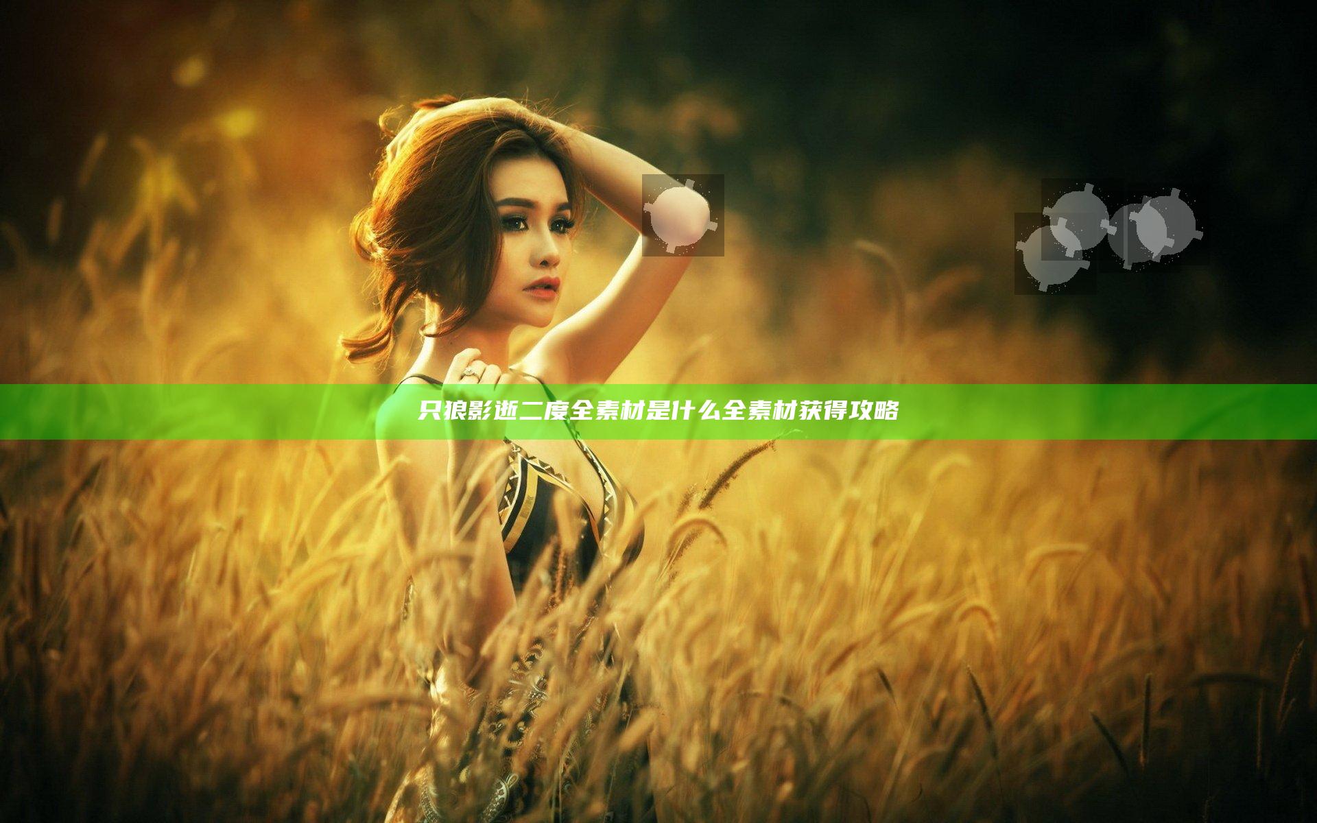 只狼影逝二度全素材是什么 全素材获得攻略